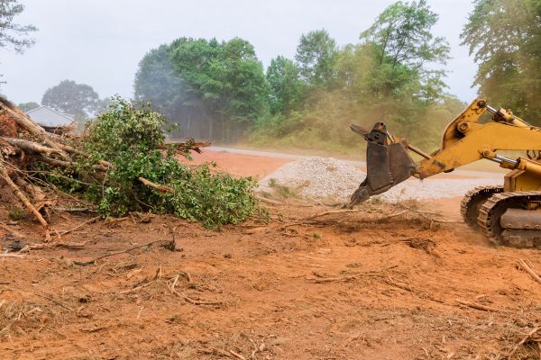 Ground Clearing in Waterloo