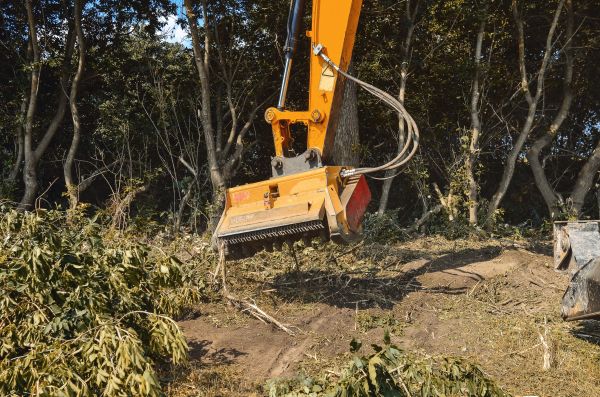 Brush Removal Service in Waterloo
