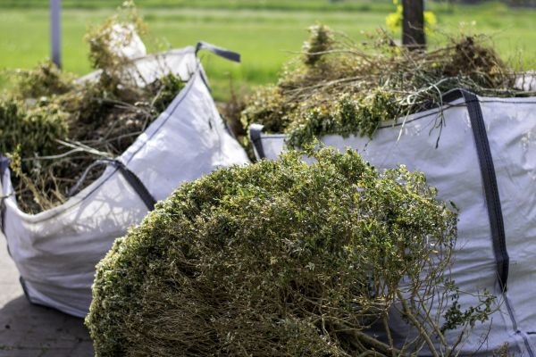 Cost of Bushes Clearing in Waterloo