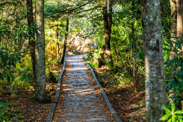 Cost of Trail Clearing in Waterloo