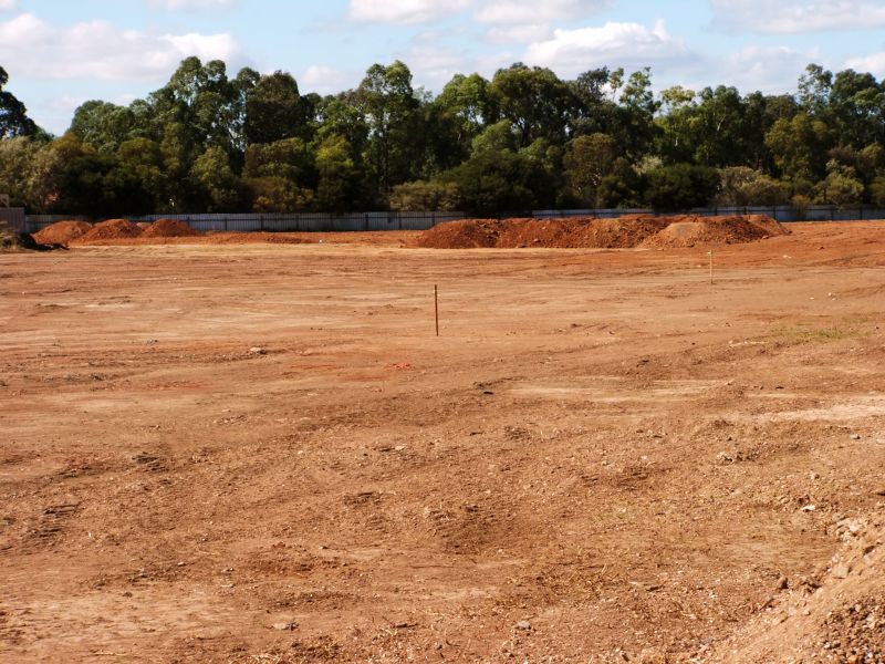 Clear Land Ready for Use